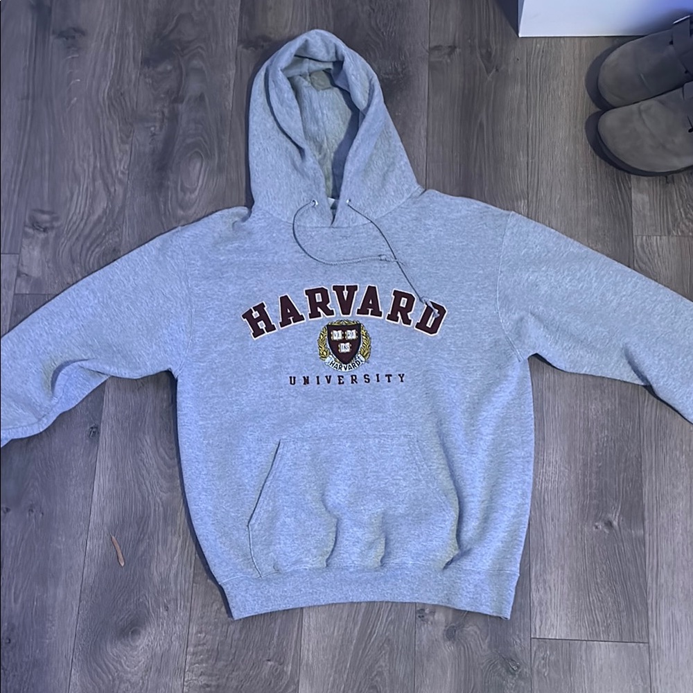 Champion Harvard hoodie